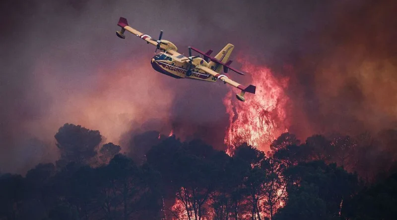 Des incendies de forêt dévastateurs en Europe sur des cartes