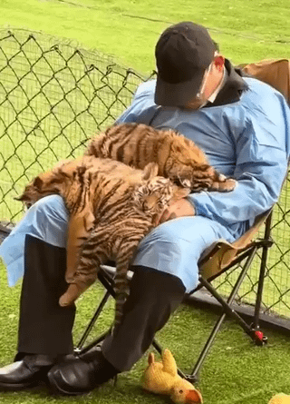 afternoon naps are the best
